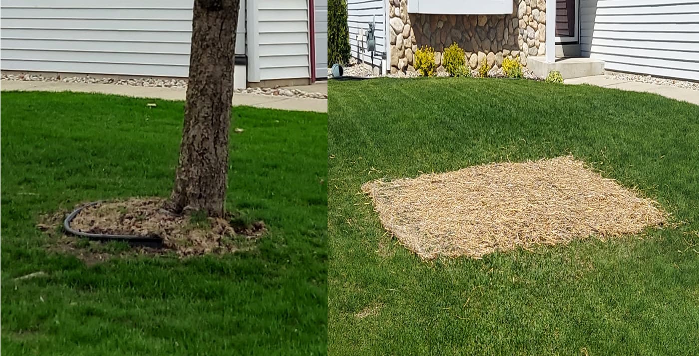 grass-stump-restored