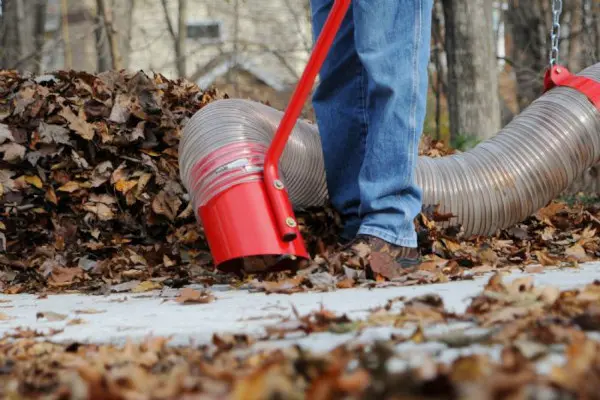 crew cleaning up leaves from tree removal