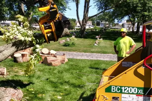 crew member brush and wood chipping