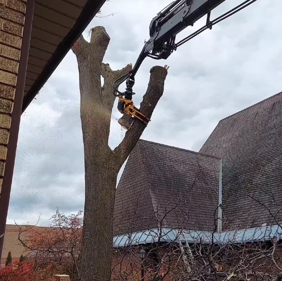 Working a tree removal at a Cudahy Church 
