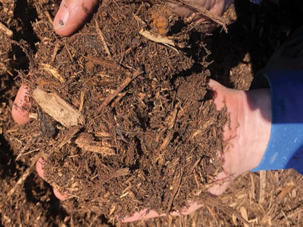 Tree wood tub grinded into chips