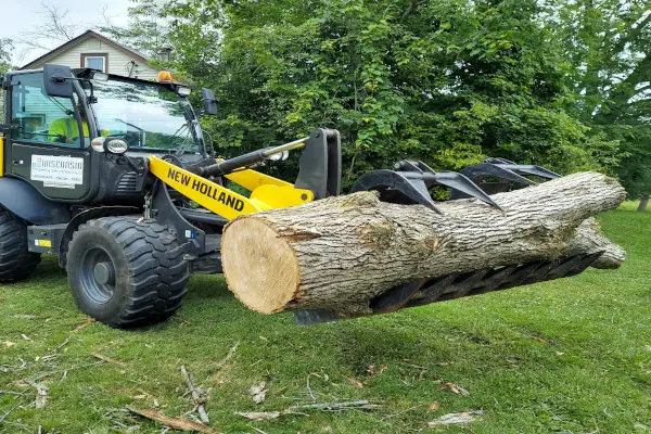 wheel loader grapple moving wood for disposal