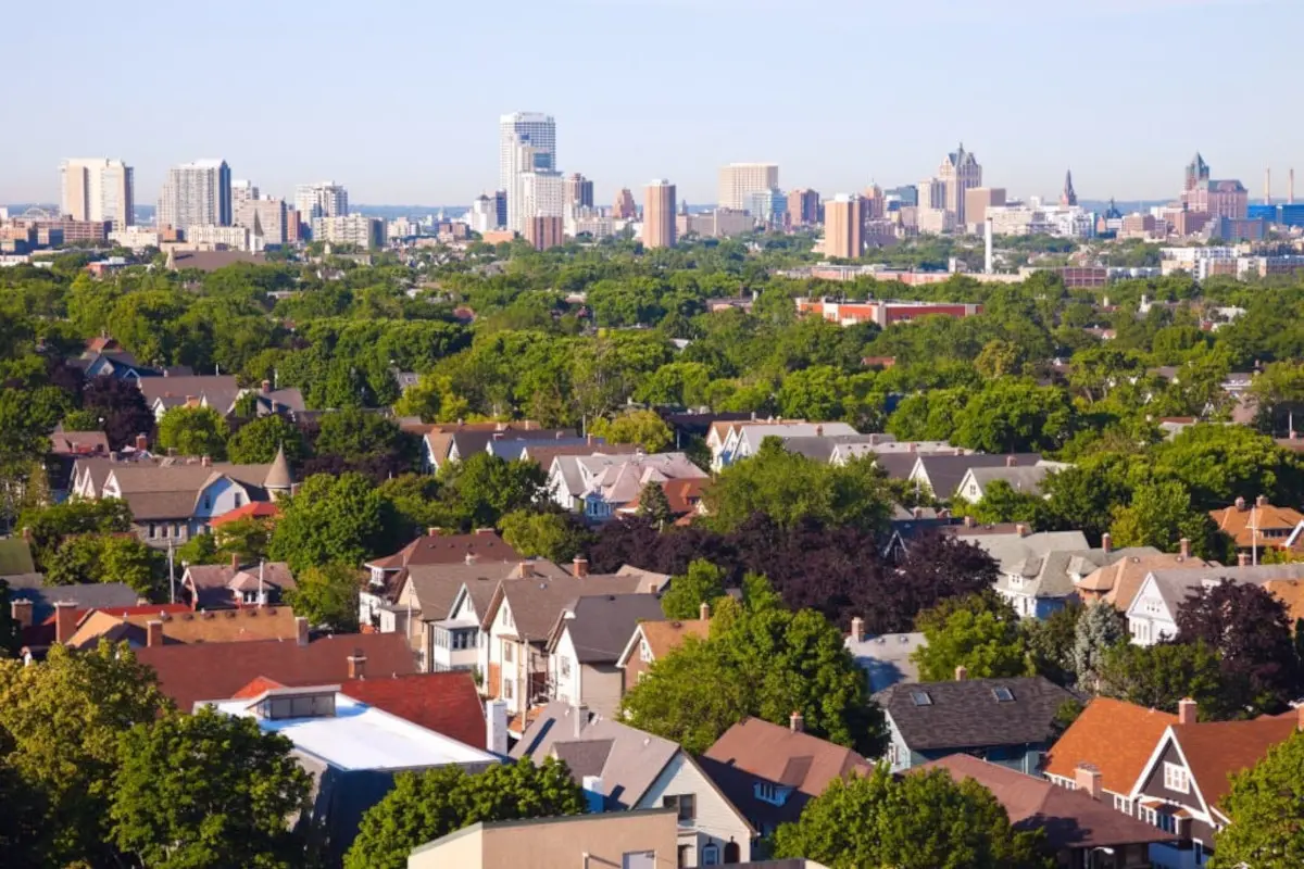 Milwaukee neighborhood trees