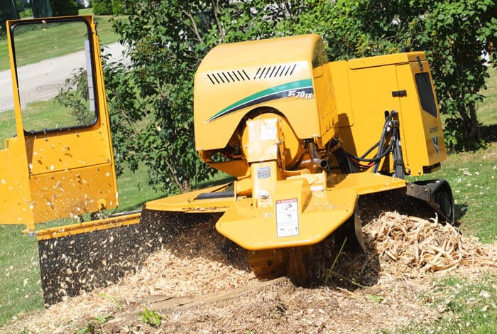 stump turned into grinding chips