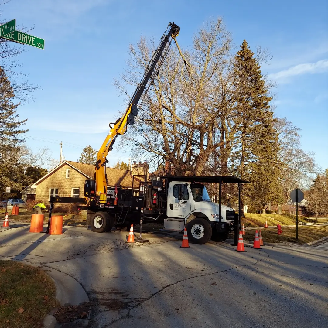 Tree service removing tree at front of residence