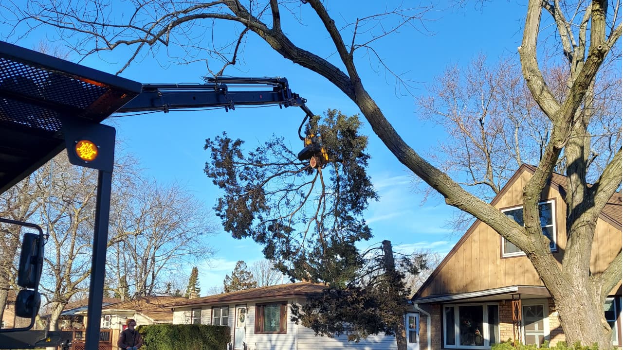 robotic-tree-removal-machine-service-advantages