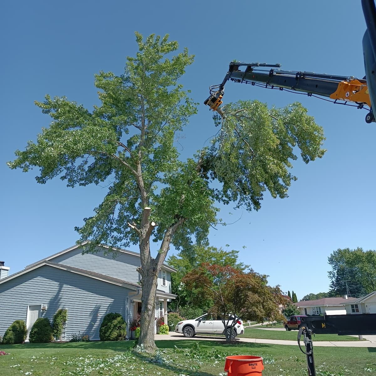 remove-tree-over-home