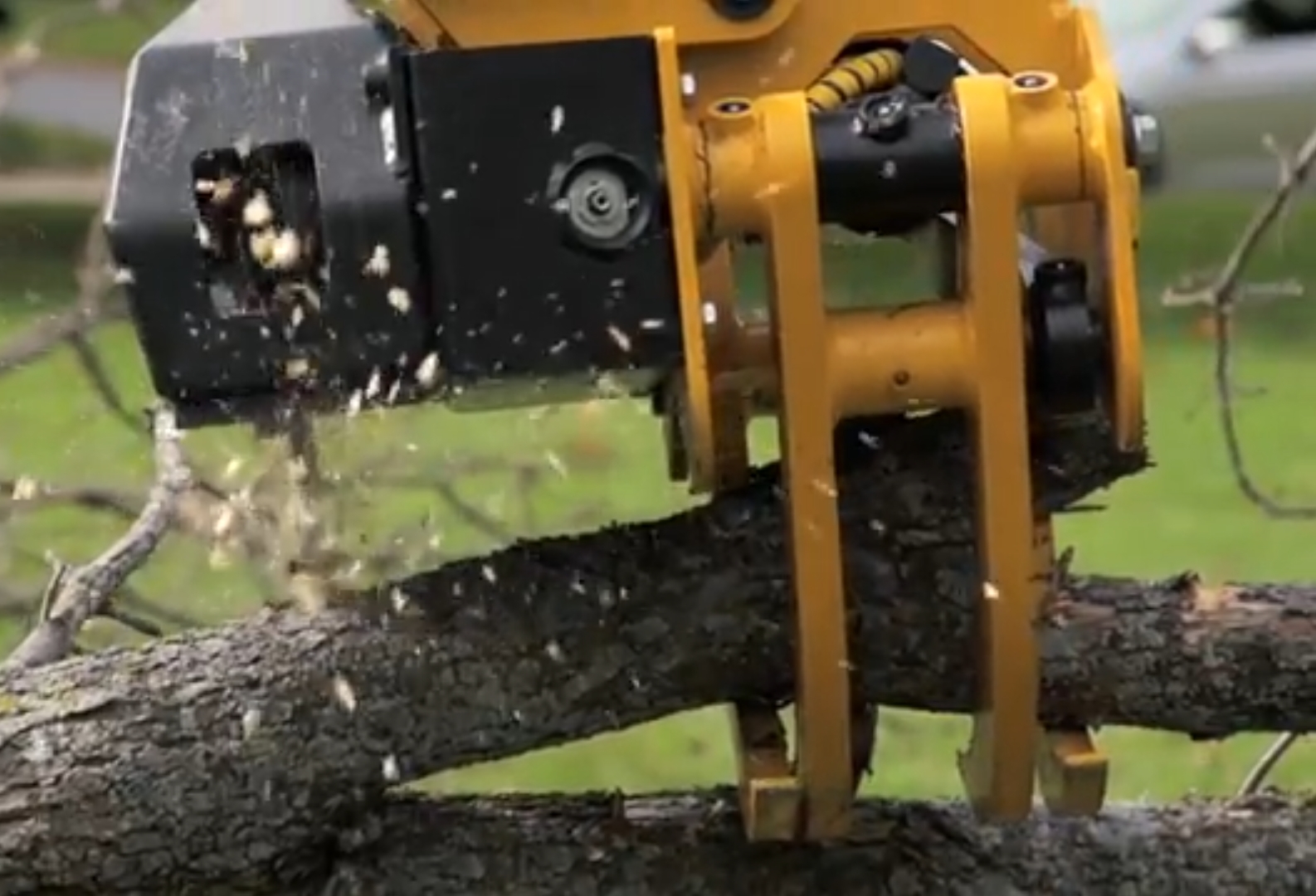cut and grab grapple saw system